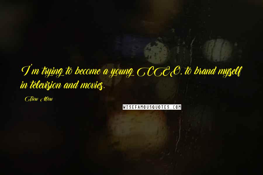 Bow Wow Quotes: I'm trying to become a young CEO, to brand myself in television and movies.