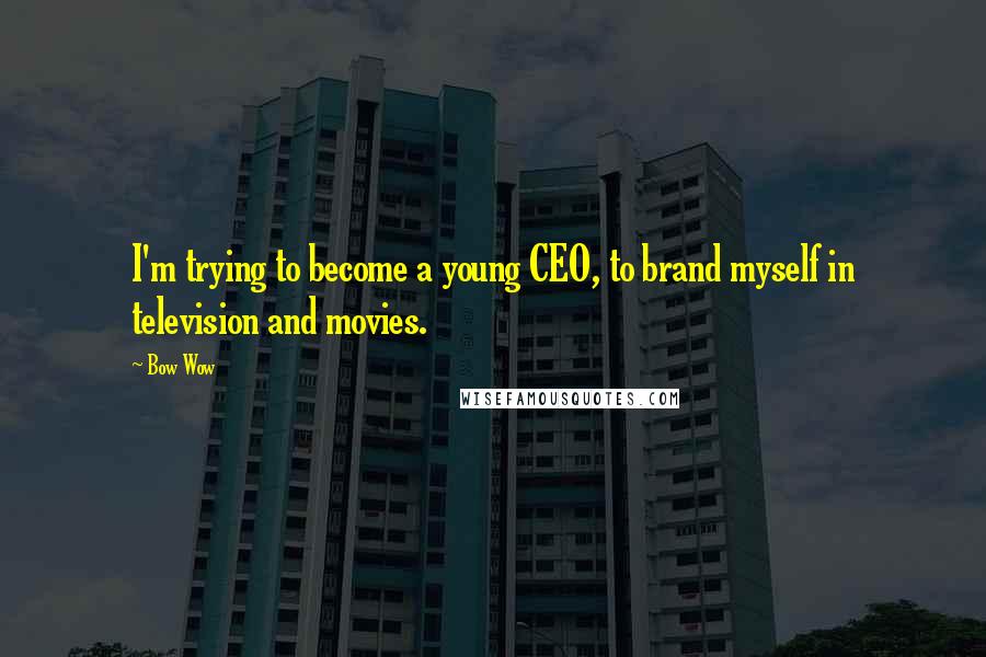 Bow Wow Quotes: I'm trying to become a young CEO, to brand myself in television and movies.