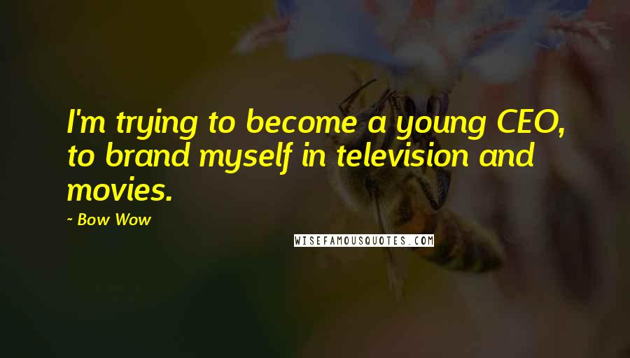 Bow Wow Quotes: I'm trying to become a young CEO, to brand myself in television and movies.
