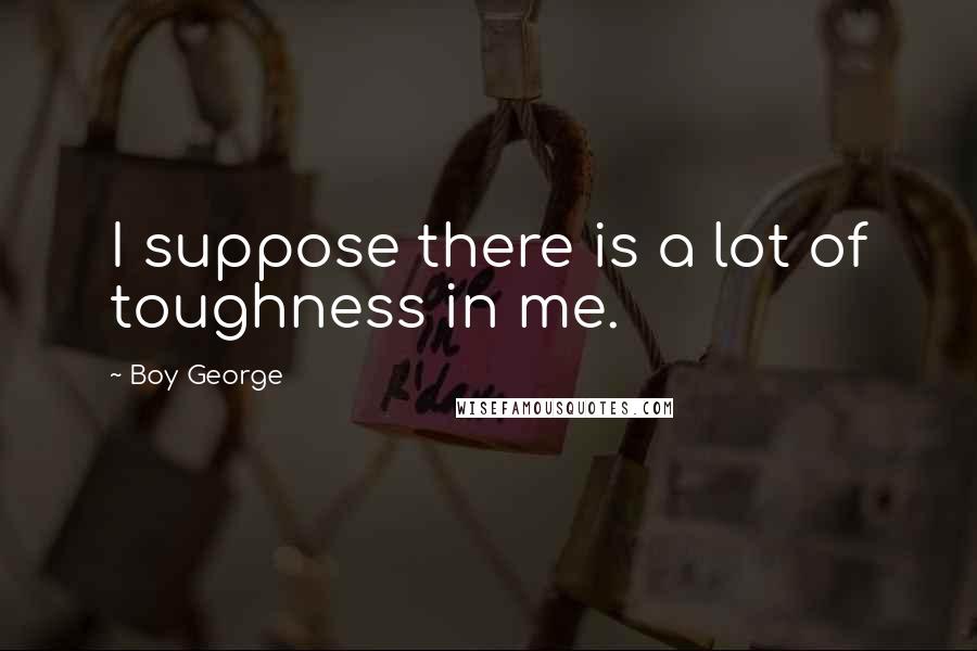 Boy George Quotes: I suppose there is a lot of toughness in me.