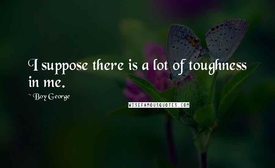 Boy George Quotes: I suppose there is a lot of toughness in me.