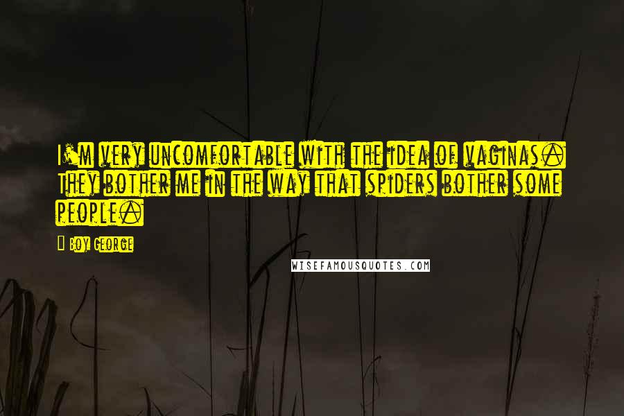 Boy George Quotes: I'm very uncomfortable with the idea of vaginas. They bother me in the way that spiders bother some people.