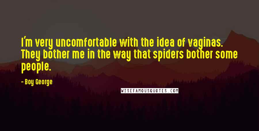 Boy George Quotes: I'm very uncomfortable with the idea of vaginas. They bother me in the way that spiders bother some people.