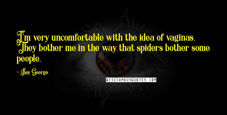 Boy George Quotes: I'm very uncomfortable with the idea of vaginas. They bother me in the way that spiders bother some people.