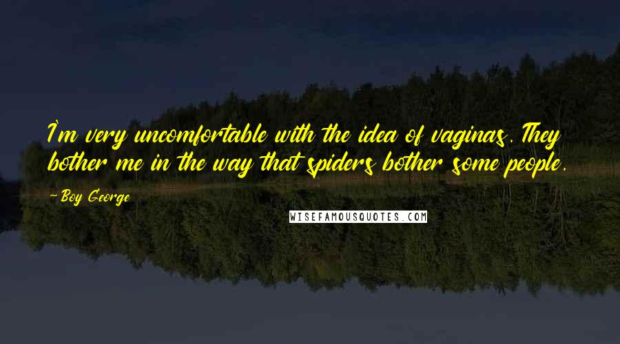 Boy George Quotes: I'm very uncomfortable with the idea of vaginas. They bother me in the way that spiders bother some people.