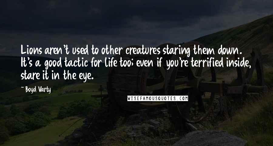 Boyd Varty Quotes: Lions aren't used to other creatures staring them down. It's a good tactic for life too; even if you're terrified inside, stare it in the eye.