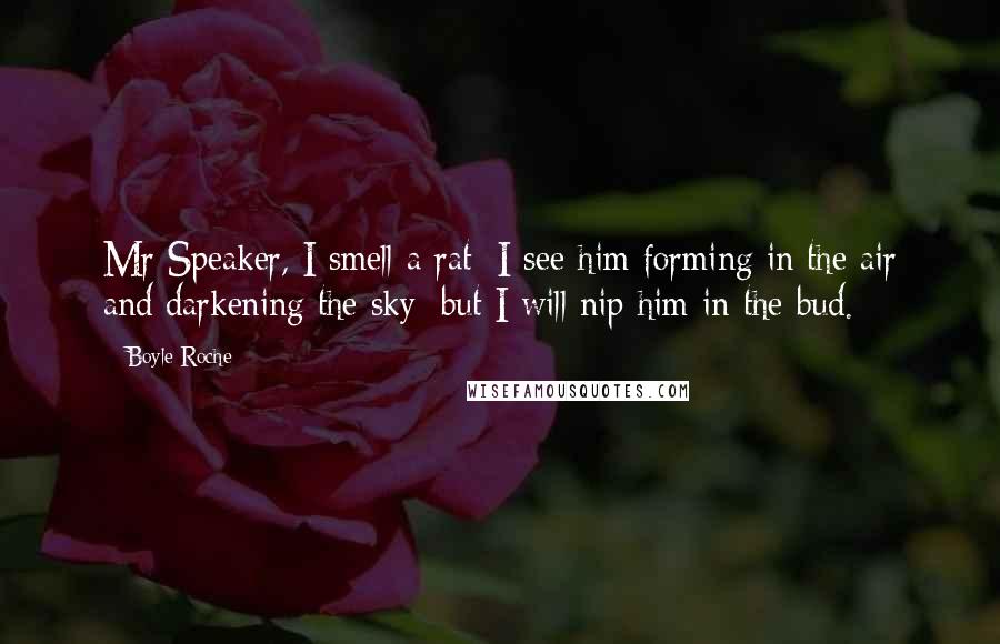 Boyle Roche Quotes: Mr Speaker, I smell a rat; I see him forming in the air and darkening the sky; but I will nip him in the bud.