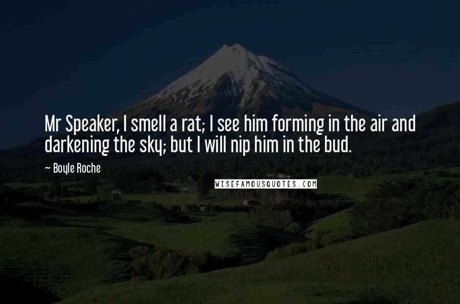 Boyle Roche Quotes: Mr Speaker, I smell a rat; I see him forming in the air and darkening the sky; but I will nip him in the bud.