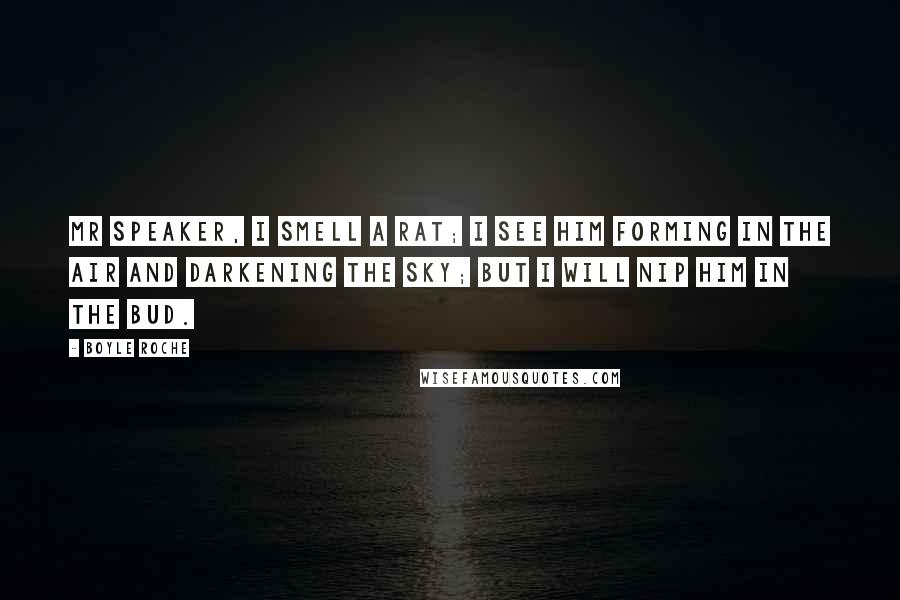 Boyle Roche Quotes: Mr Speaker, I smell a rat; I see him forming in the air and darkening the sky; but I will nip him in the bud.