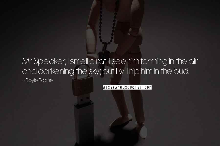 Boyle Roche Quotes: Mr Speaker, I smell a rat; I see him forming in the air and darkening the sky; but I will nip him in the bud.