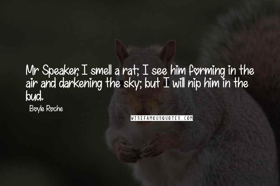 Boyle Roche Quotes: Mr Speaker, I smell a rat; I see him forming in the air and darkening the sky; but I will nip him in the bud.