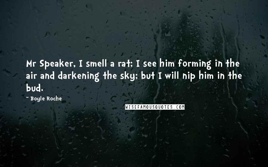 Boyle Roche Quotes: Mr Speaker, I smell a rat; I see him forming in the air and darkening the sky; but I will nip him in the bud.