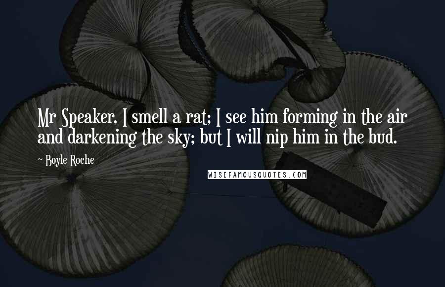 Boyle Roche Quotes: Mr Speaker, I smell a rat; I see him forming in the air and darkening the sky; but I will nip him in the bud.