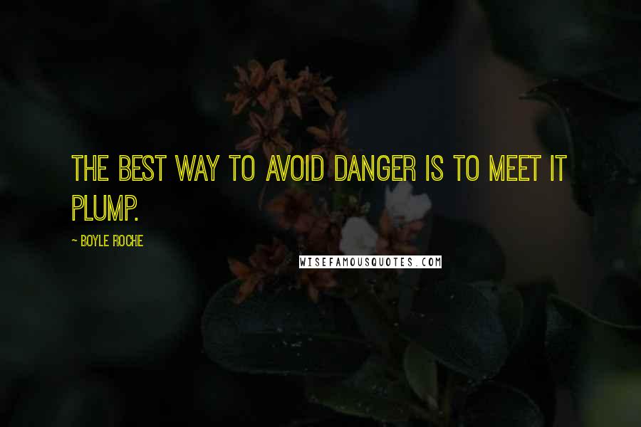 Boyle Roche Quotes: The best way to avoid danger is to meet it plump.