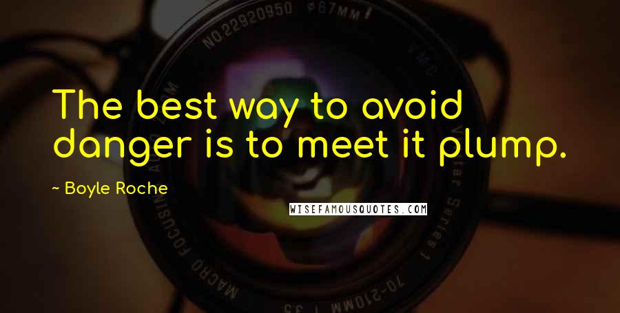 Boyle Roche Quotes: The best way to avoid danger is to meet it plump.