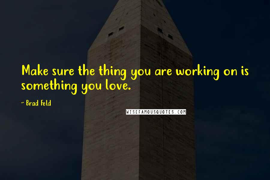 Brad Feld Quotes: Make sure the thing you are working on is something you love.