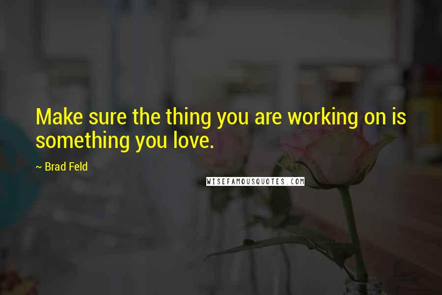 Brad Feld Quotes: Make sure the thing you are working on is something you love.