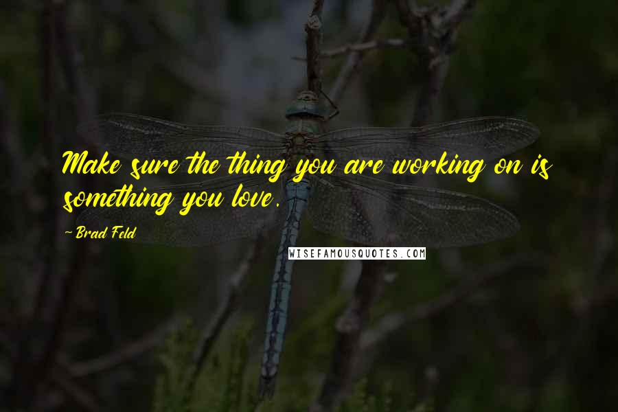 Brad Feld Quotes: Make sure the thing you are working on is something you love.