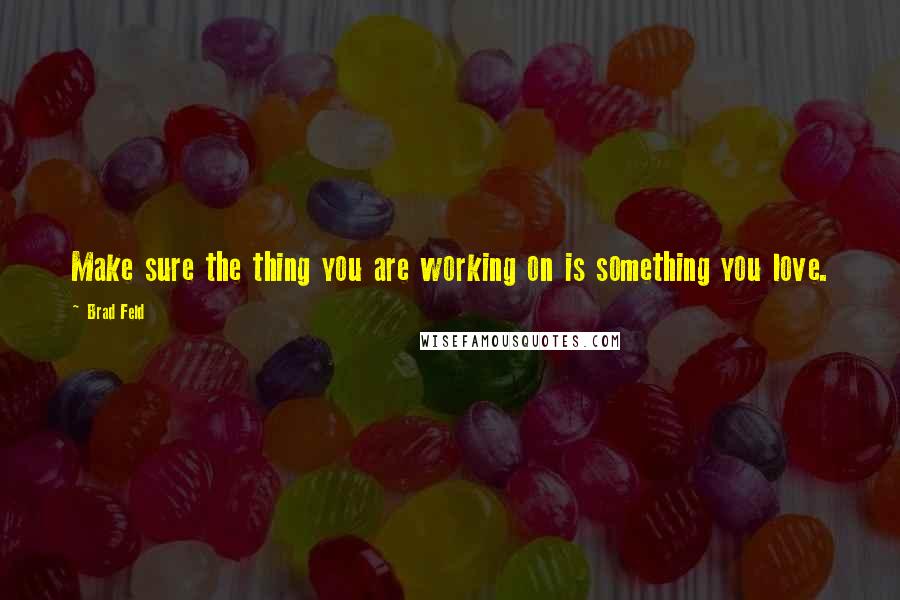 Brad Feld Quotes: Make sure the thing you are working on is something you love.