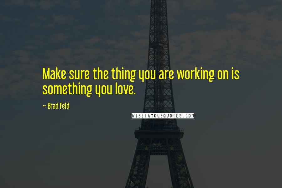 Brad Feld Quotes: Make sure the thing you are working on is something you love.