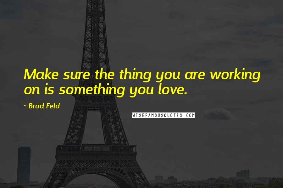 Brad Feld Quotes: Make sure the thing you are working on is something you love.