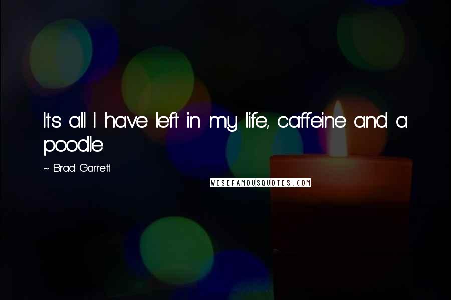 Brad Garrett Quotes: It's all I have left in my life, caffeine and a poodle.