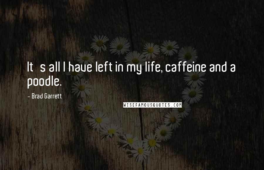 Brad Garrett Quotes: It's all I have left in my life, caffeine and a poodle.