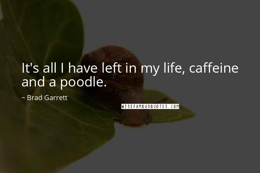 Brad Garrett Quotes: It's all I have left in my life, caffeine and a poodle.