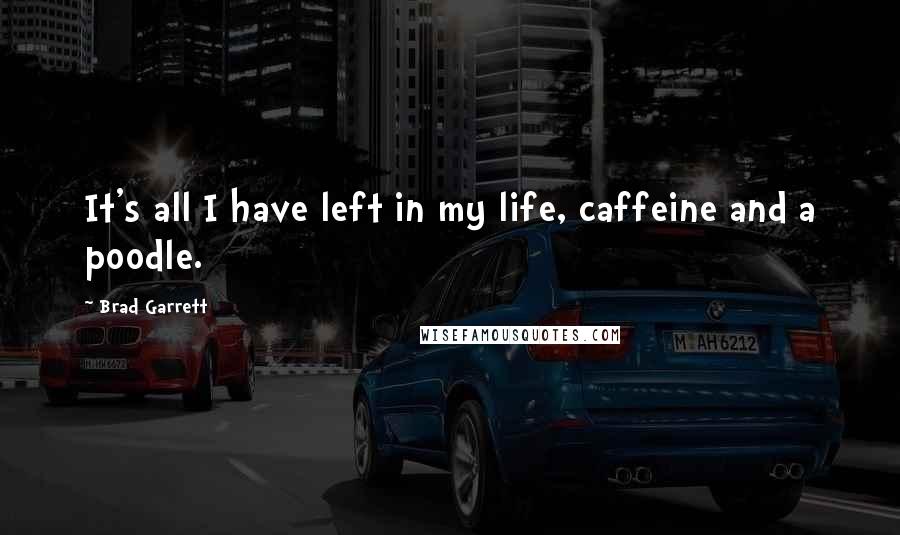 Brad Garrett Quotes: It's all I have left in my life, caffeine and a poodle.