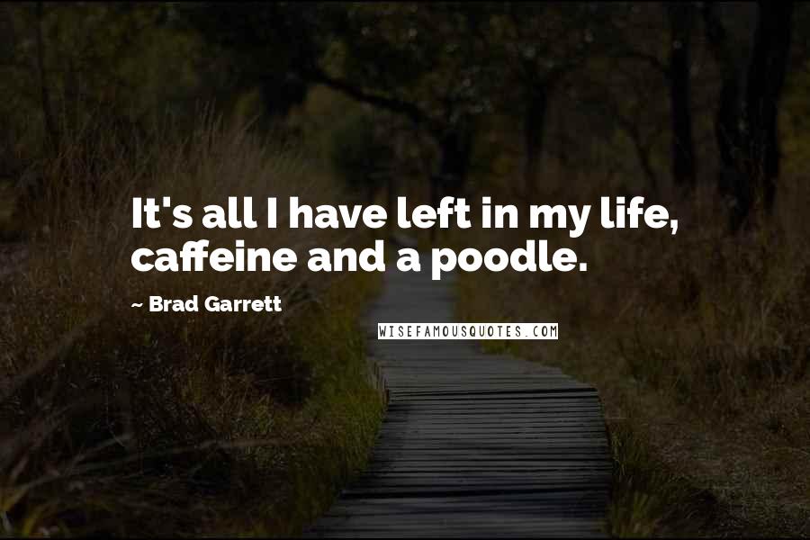 Brad Garrett Quotes: It's all I have left in my life, caffeine and a poodle.