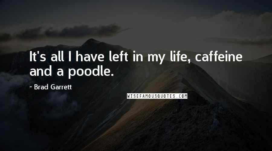 Brad Garrett Quotes: It's all I have left in my life, caffeine and a poodle.