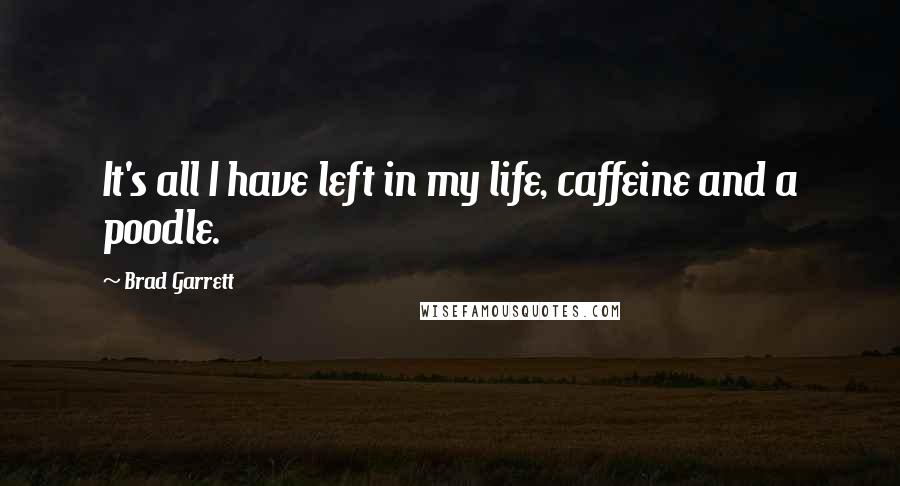 Brad Garrett Quotes: It's all I have left in my life, caffeine and a poodle.