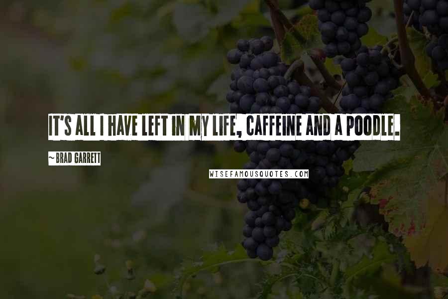 Brad Garrett Quotes: It's all I have left in my life, caffeine and a poodle.