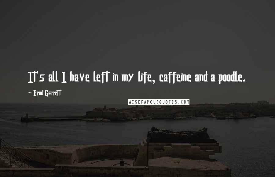 Brad Garrett Quotes: It's all I have left in my life, caffeine and a poodle.