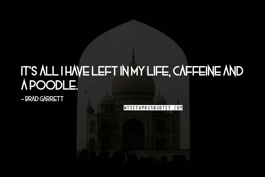 Brad Garrett Quotes: It's all I have left in my life, caffeine and a poodle.