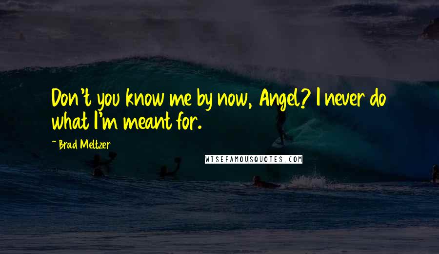 Brad Meltzer Quotes: Don't you know me by now, Angel? I never do what I'm meant for.