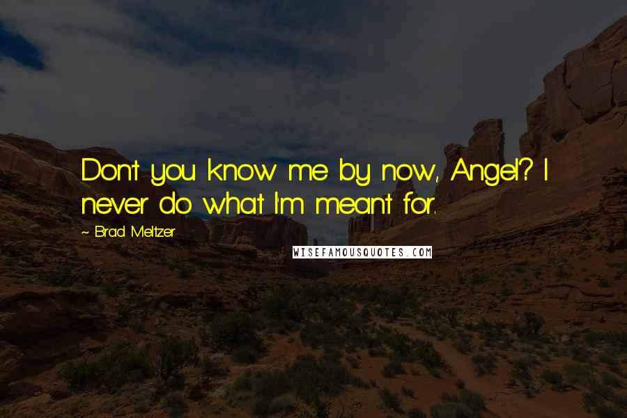 Brad Meltzer Quotes: Don't you know me by now, Angel? I never do what I'm meant for.