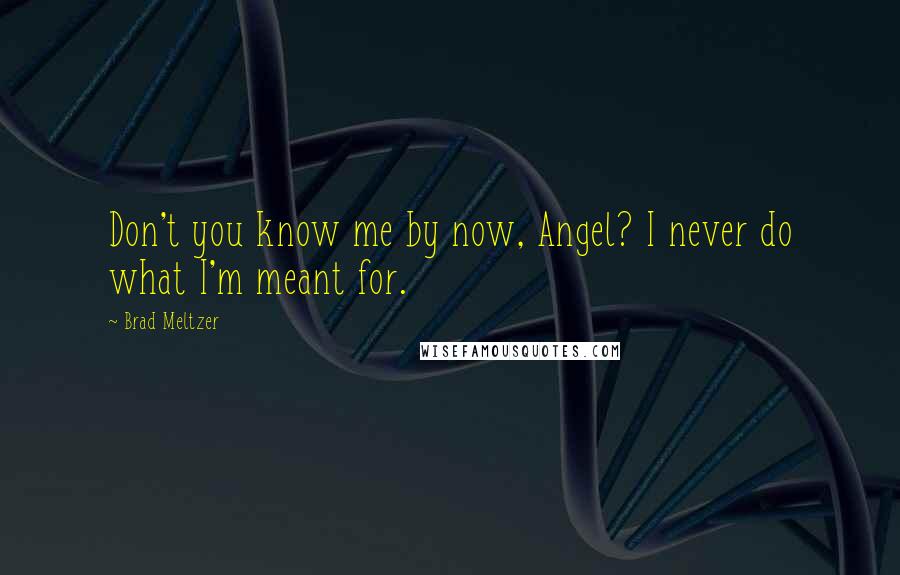 Brad Meltzer Quotes: Don't you know me by now, Angel? I never do what I'm meant for.