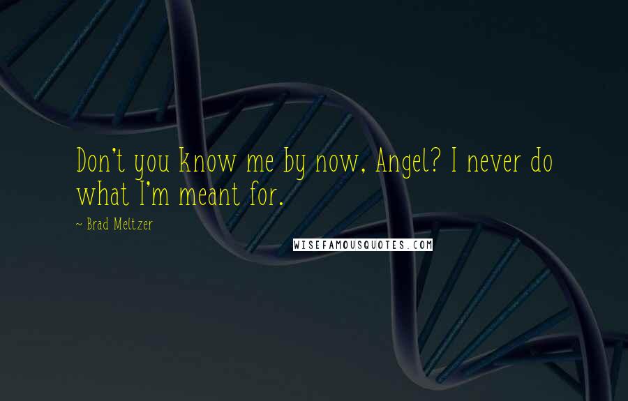 Brad Meltzer Quotes: Don't you know me by now, Angel? I never do what I'm meant for.