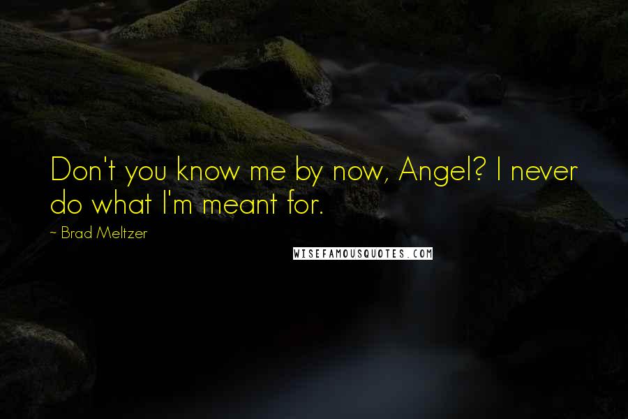 Brad Meltzer Quotes: Don't you know me by now, Angel? I never do what I'm meant for.