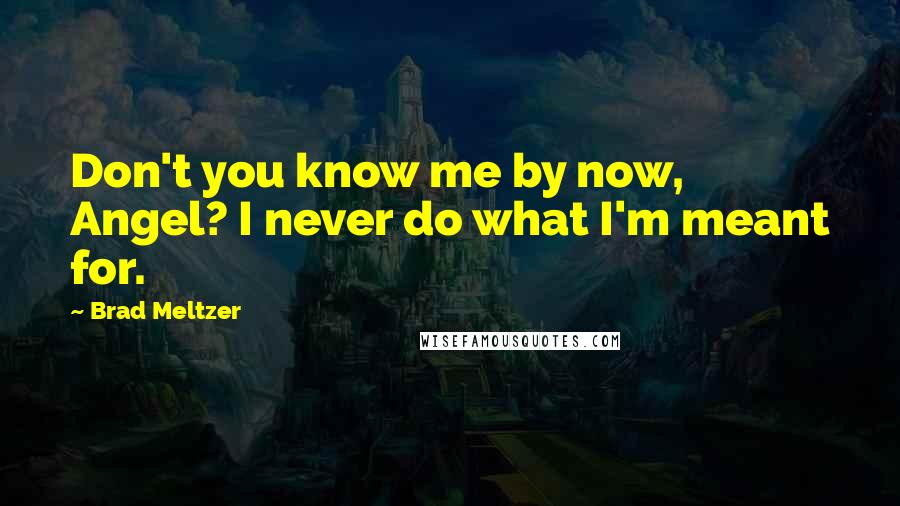 Brad Meltzer Quotes: Don't you know me by now, Angel? I never do what I'm meant for.