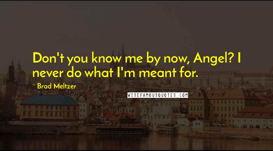 Brad Meltzer Quotes: Don't you know me by now, Angel? I never do what I'm meant for.