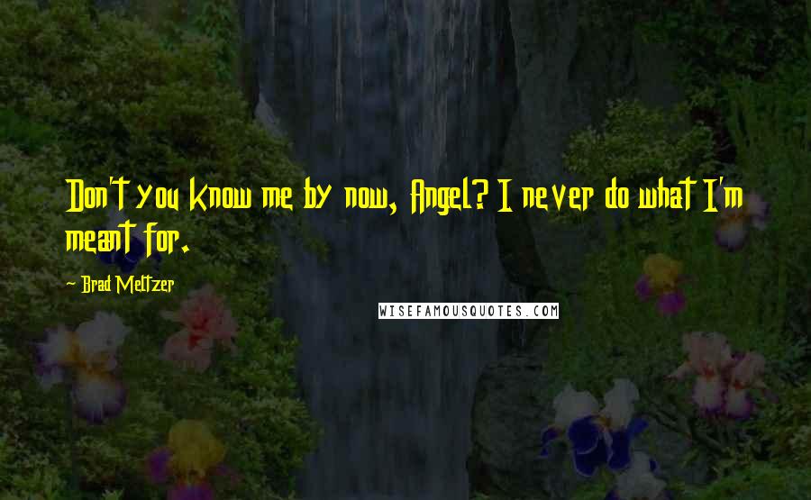 Brad Meltzer Quotes: Don't you know me by now, Angel? I never do what I'm meant for.