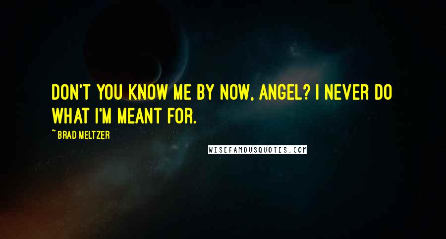 Brad Meltzer Quotes: Don't you know me by now, Angel? I never do what I'm meant for.