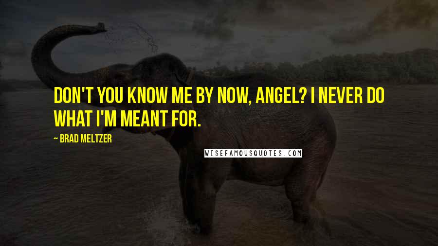 Brad Meltzer Quotes: Don't you know me by now, Angel? I never do what I'm meant for.