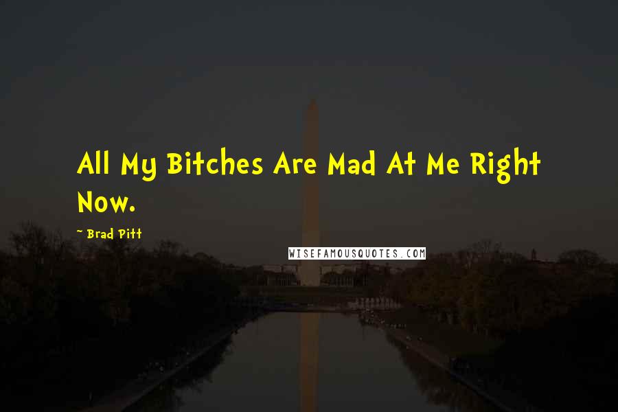 Brad Pitt Quotes: All My Bitches Are Mad At Me Right Now.