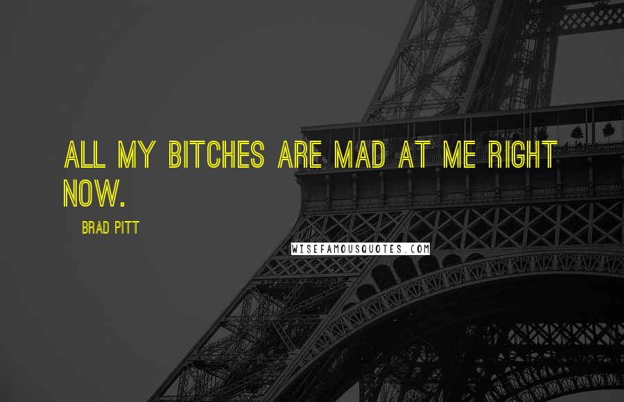 Brad Pitt Quotes: All My Bitches Are Mad At Me Right Now.