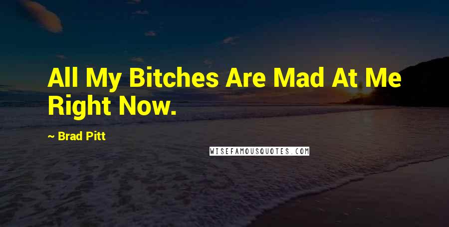 Brad Pitt Quotes: All My Bitches Are Mad At Me Right Now.