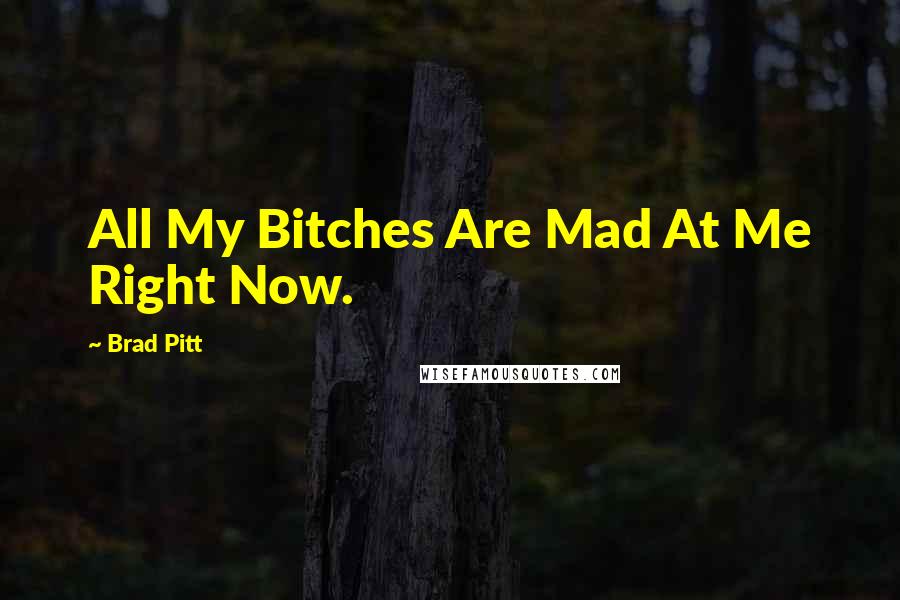 Brad Pitt Quotes: All My Bitches Are Mad At Me Right Now.