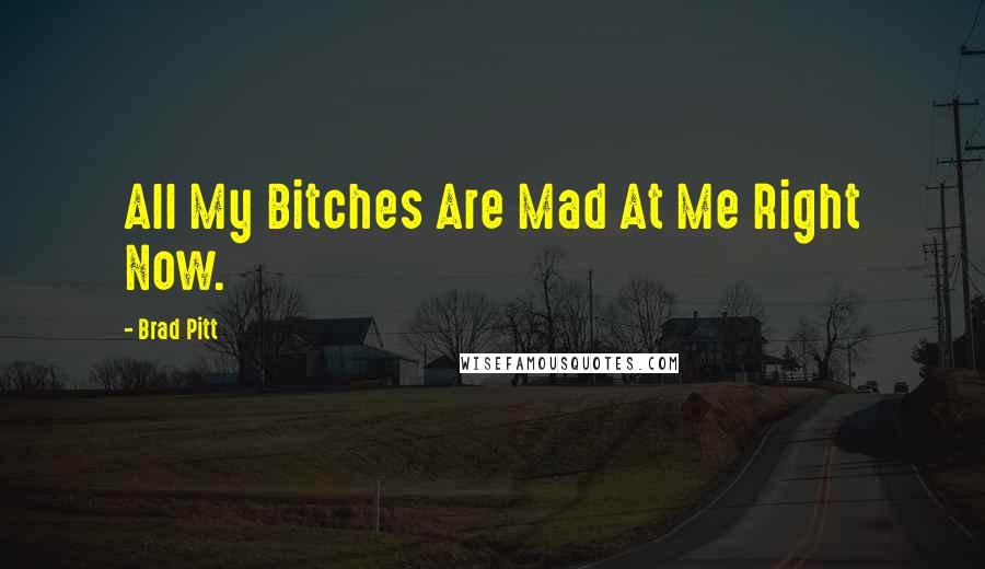 Brad Pitt Quotes: All My Bitches Are Mad At Me Right Now.